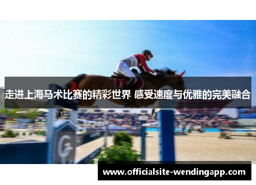 走进上海马术比赛的精彩世界 感受速度与优雅的完美融合