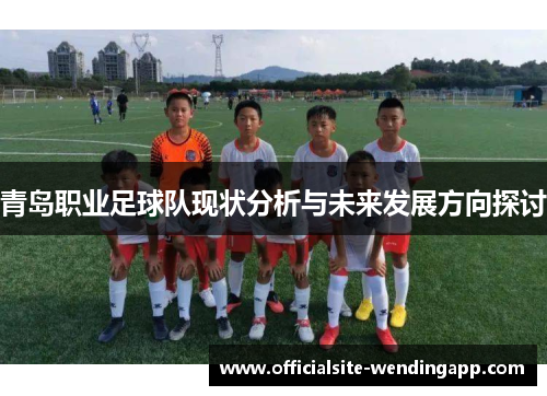 青岛职业足球队现状分析与未来发展方向探讨 青岛职业足球队现状分析与未来发展方向探讨