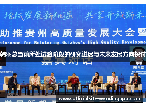 韩羽总当前所处试验阶段的研究进展与未来发展方向探讨 韩羽总当前所处试验阶段的研究进展与未来发展方向探讨